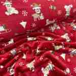 Wellsoft rudolf piros